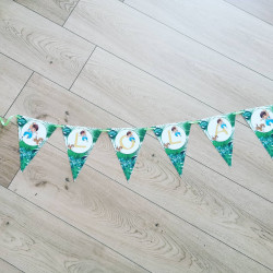 Banderole diego Jungle