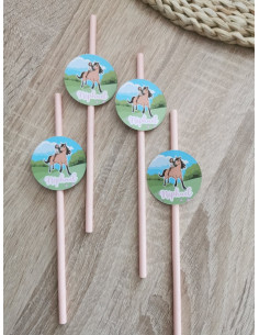 Pailles personnalisées Spirit