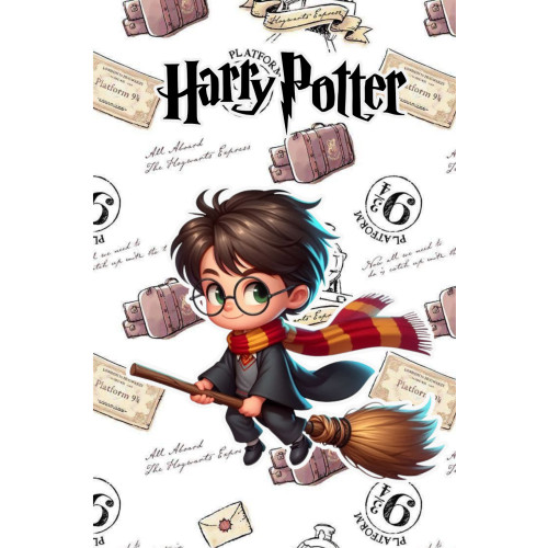 Harry Potter & Sorcier