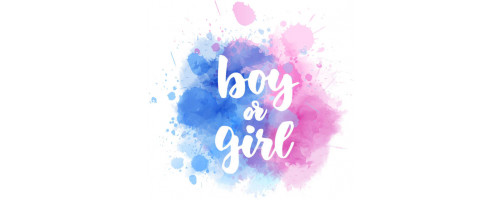 Baby shower/Gender reveal