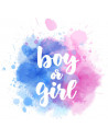 Baby shower/Gender reveal