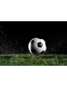 Football / sport