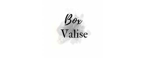 box / valise